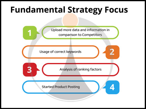 Fundamental Strategy Focus